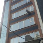 درباره گروه فنی اندیا 61 IMG 20231023 WA0013